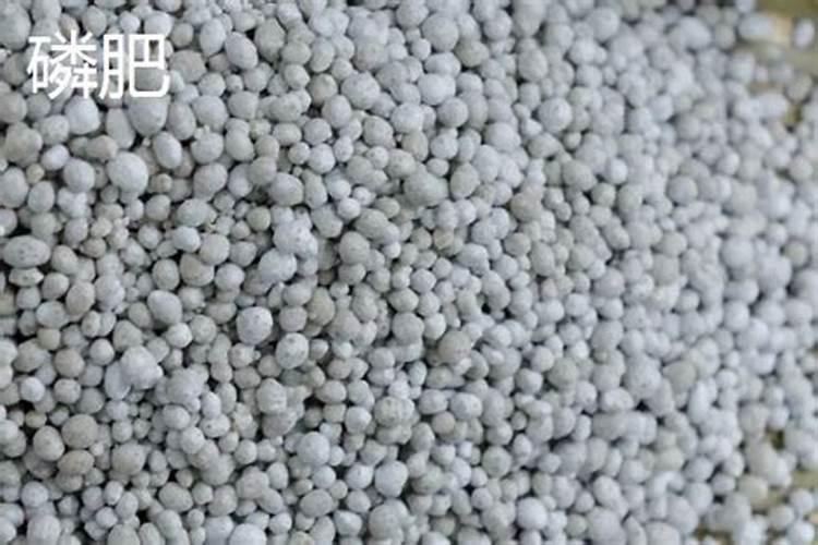 什么是磷肥？ 什么是钾肥？
