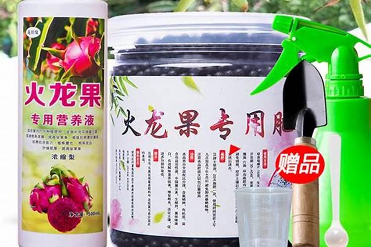 火龙果果实膨大需要什么肥料？叶枯叶霉病如何处理？专用叶面肥有哪些品...