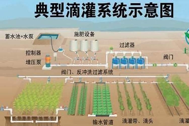 水溶肥应该怎样用才有效果？