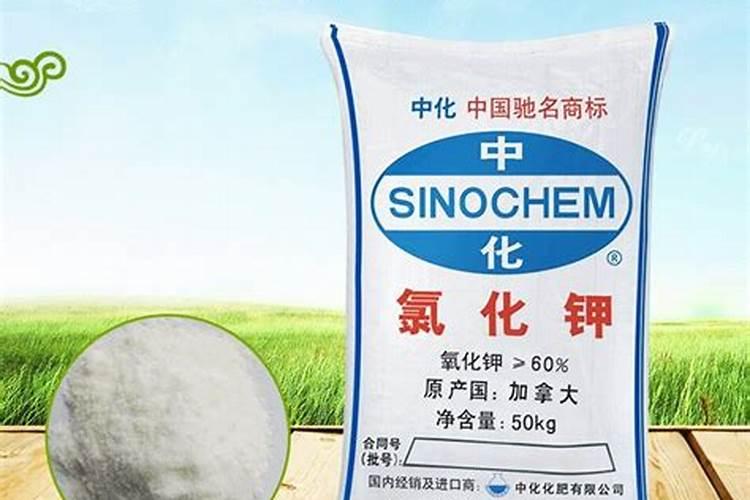 钾素肥料中钾含量的测定公式 钾肥中钾含量的测定方法