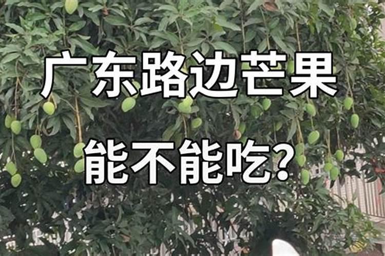 对石榴树施肥50斤水放多少钾肥？