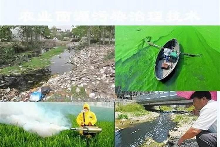 玉米用尿素好还是复合肥好