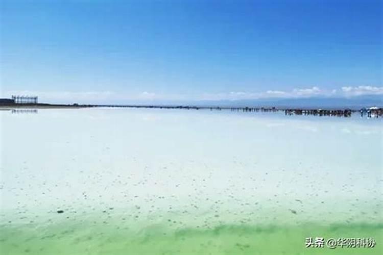 盐湖钾肥是什么