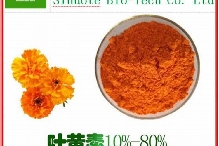 天气温度升高植物花青素慢慢被分解如何保护花青素