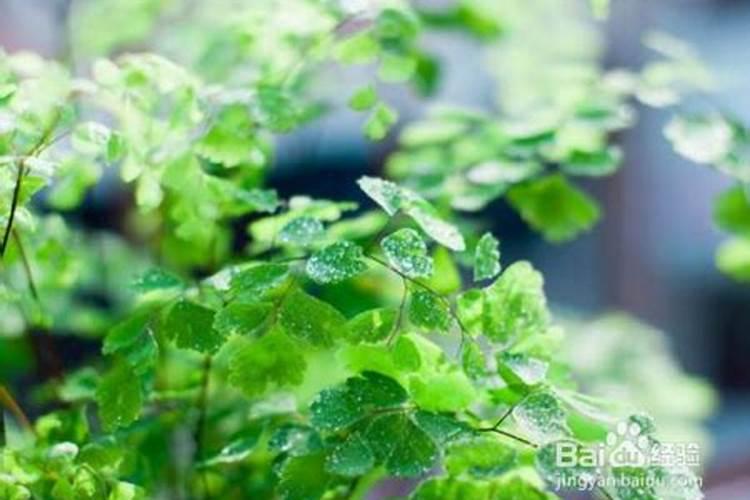 初四化学 在土地上磷肥施用过量的后果是？