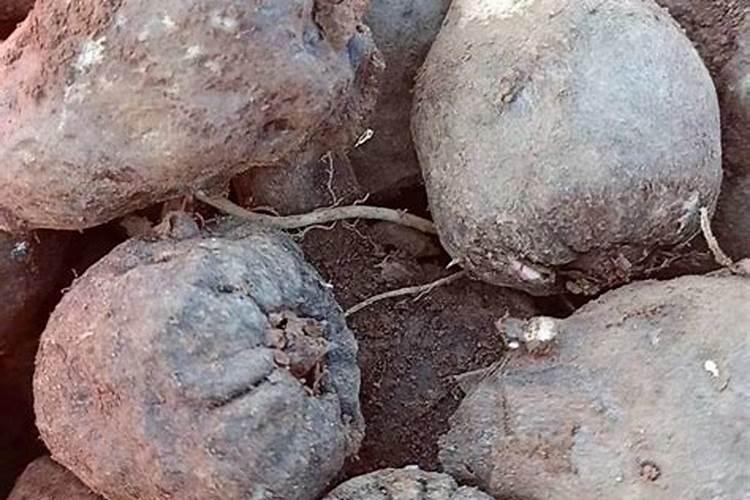 最值钱的十种矿石的排名情况是怎样的