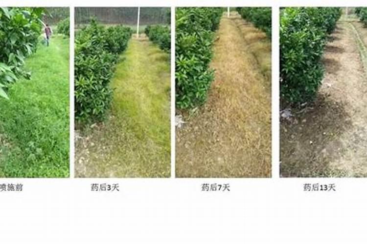 2019云南丽江公务员考试行测备考如何能通过看选项直接选答案？百度...