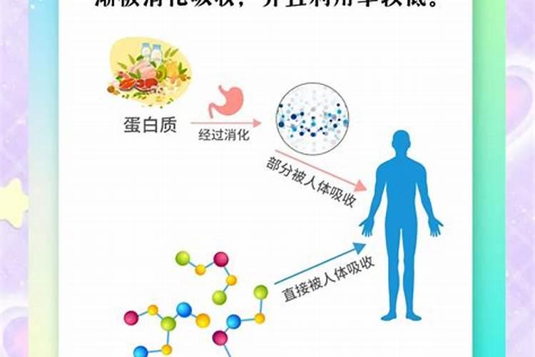鱼蛋白肥料的功效与作用