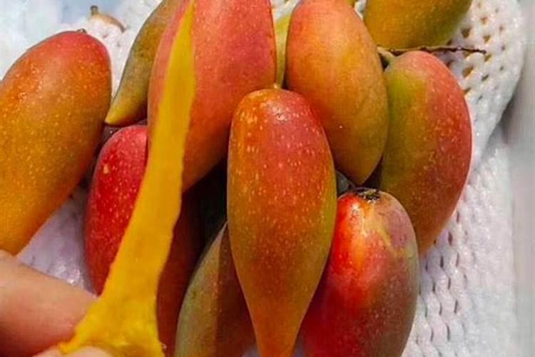 绿妃能和其它杀菌剂和叶面肥混用吗？