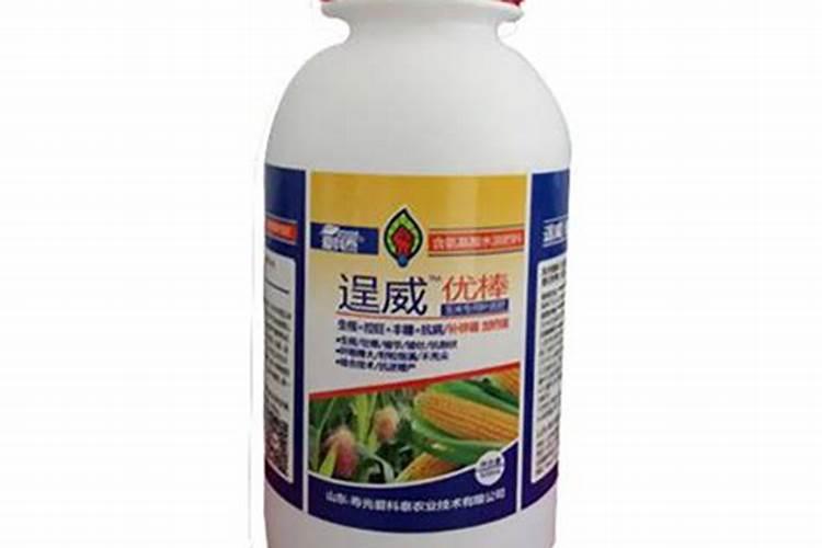 十大膨果肥第一名