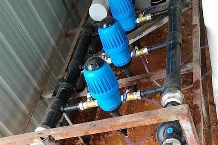 白醋可以喷稻苗吗什么时间最好