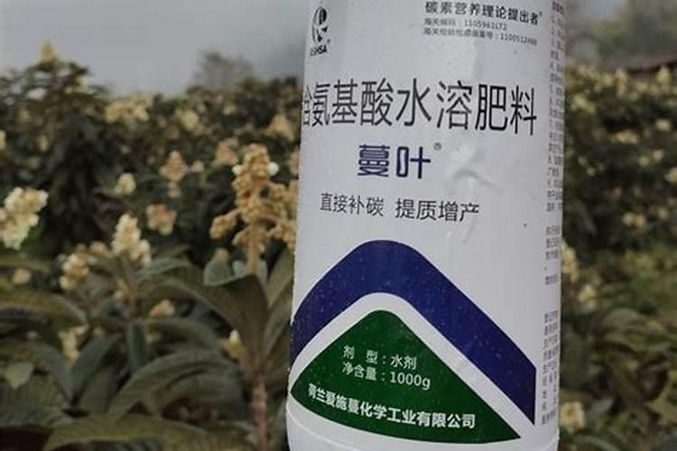 怎样能让枇杷的果又大又甜？枇杷增甜施肥哪种叶面肥效果好