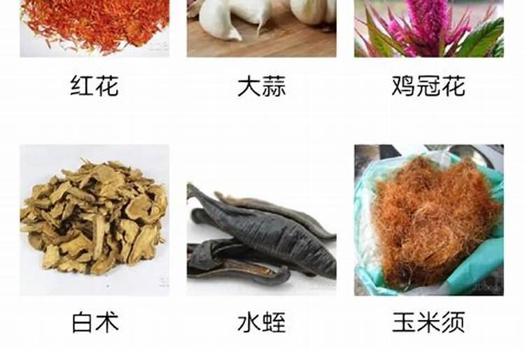 这是什么植物？