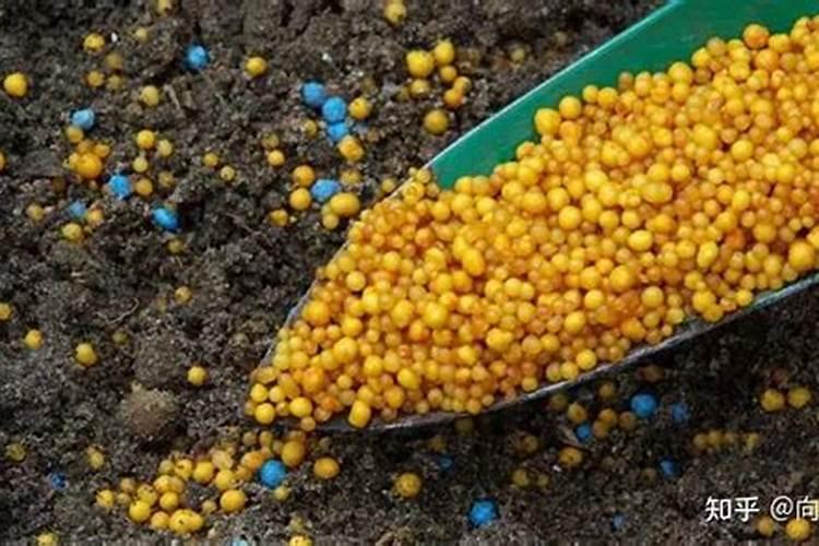 请问硫包衣和树脂包膜的控释肥有何优缺点 哪个更优