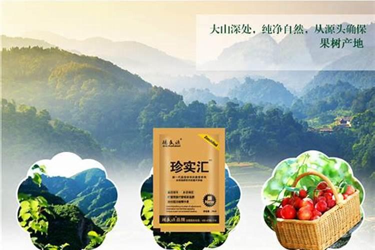 芸苔素内脂与磷酸二氢钾硼肥合用在水稻上有什么作用