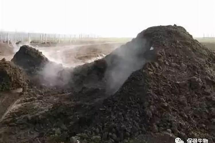 我国施用的硅肥有哪些品种？施用过多有哪些危害？