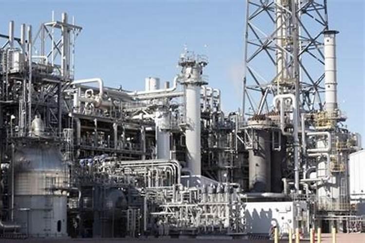 松树叶子可以做肥料吗 松树叶子可不可以做肥料