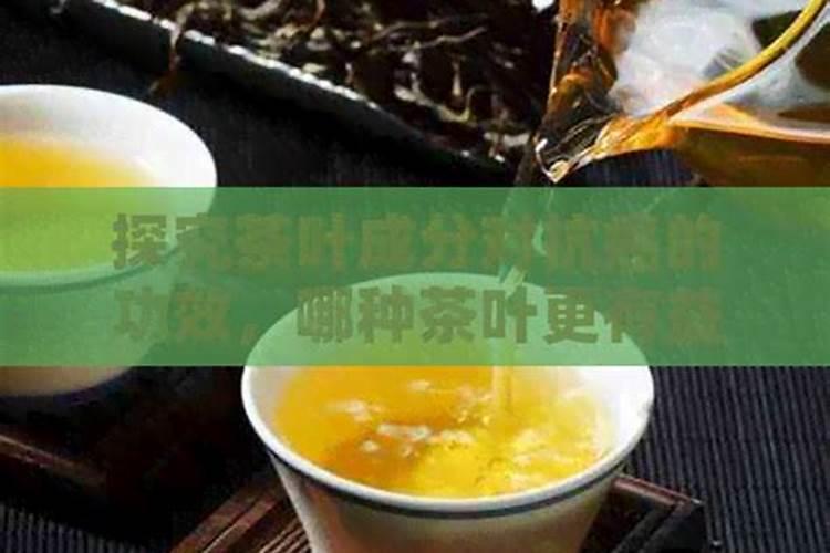 沼泽地为什么越陷越深