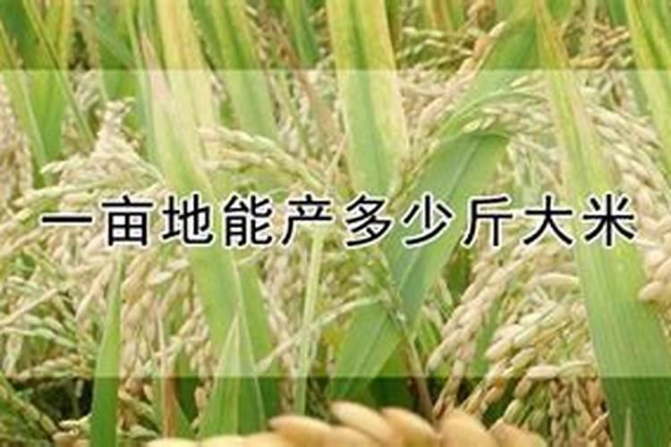 钾肥一亩地上多少