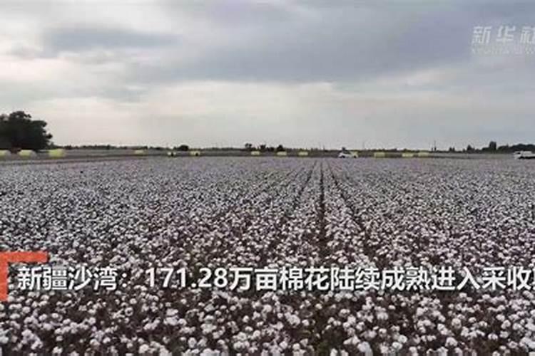 磷肥一亩地用多少