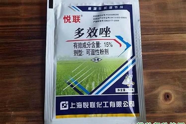 葡萄果实膨大以后第二次喂什么肥料