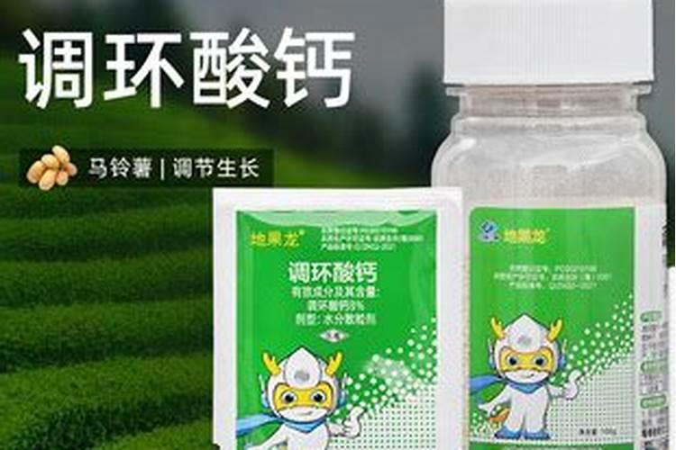 葡萄植株生长弱怎样治