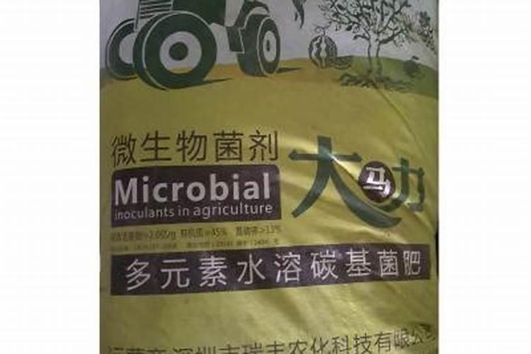 乡村振兴概念股有哪些