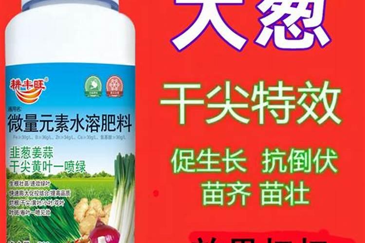 大葱用什么肥料长的快？腐植酸水溶肥助增收