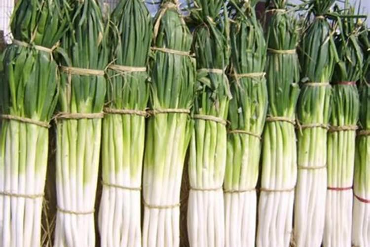 八月中旬大葱施什么肥好