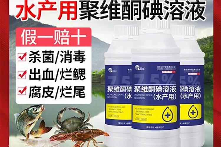 养螃蟹几月份下蟹苗 养螃蟹需要几月份下蟹苗