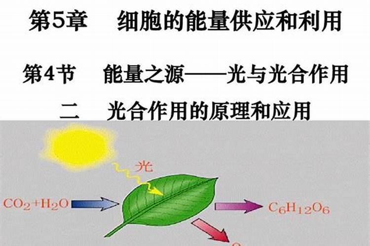 氮磷钾肥的作用