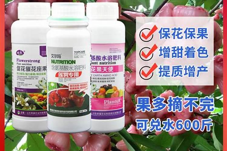 莲雾树木修剪到什么程度才控梢最好？