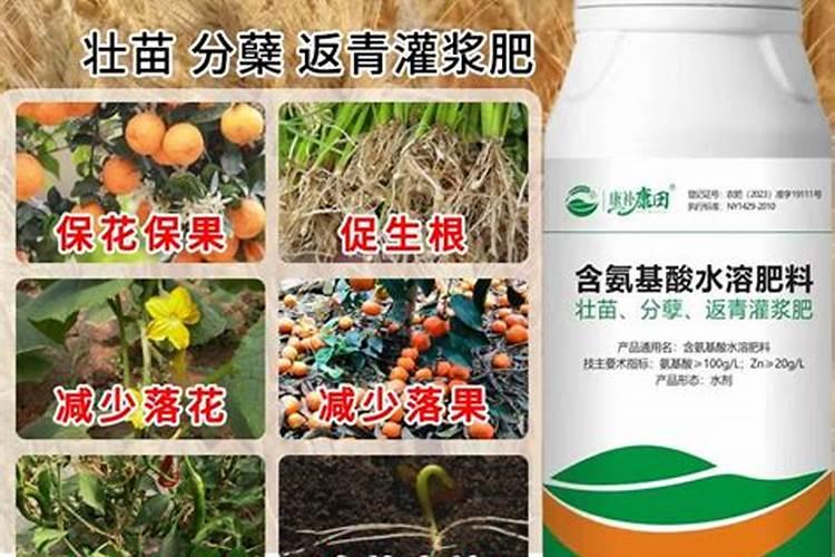 含氨基酸水溶肥有什么功效和作用？