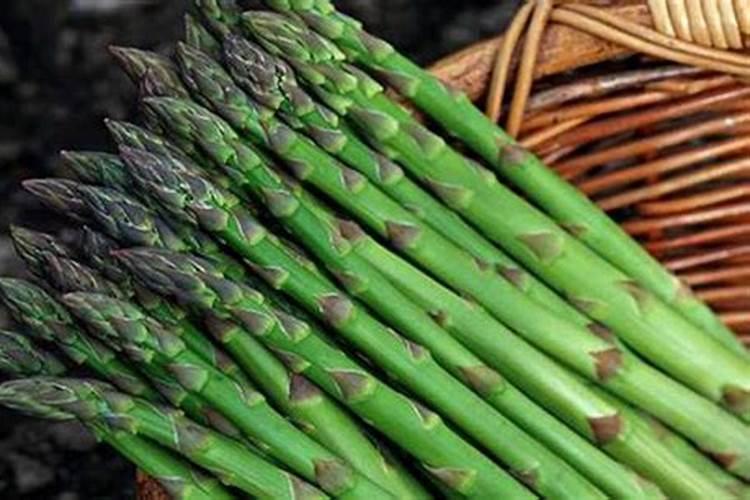 芦笋用什么肥料比较好