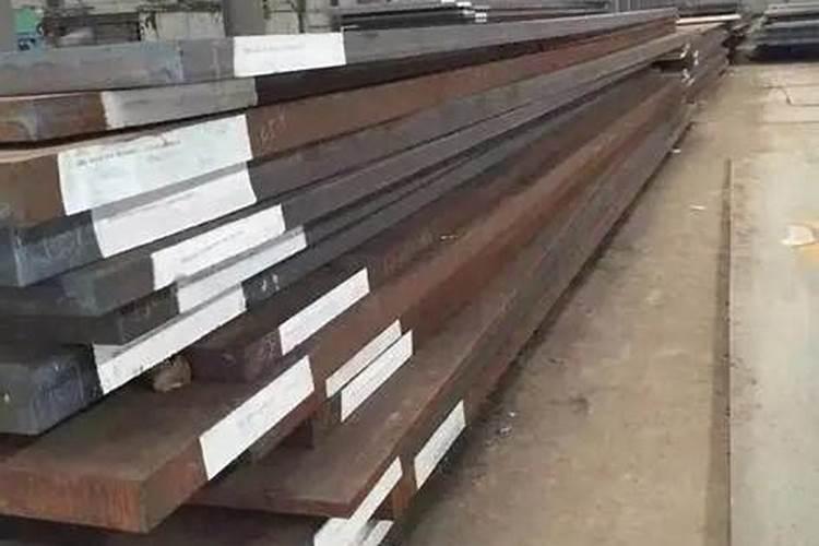 黑金刚象皮树刚栽上怎么浇水？