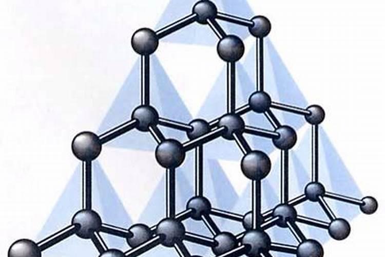 黑金刚橡皮树养殖方法