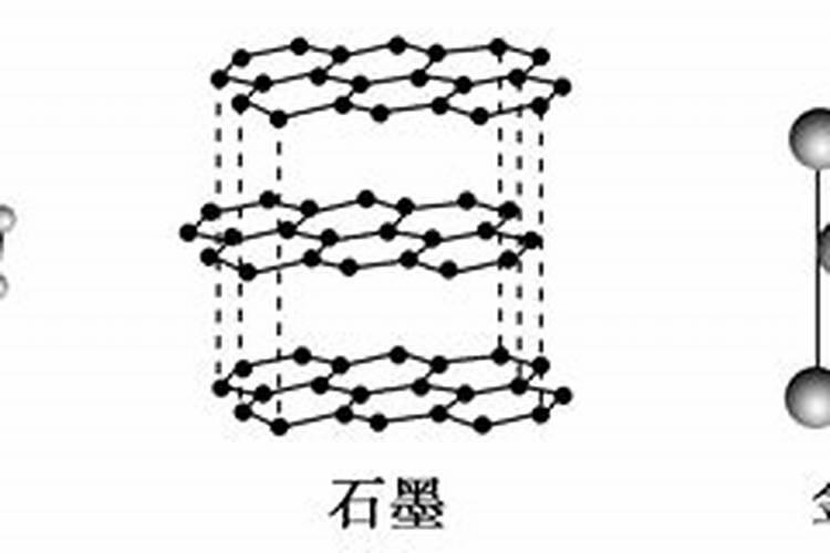 黑金刚的花苞干瘪是怎么回事？