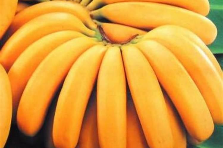 香蕉用什么肥料好