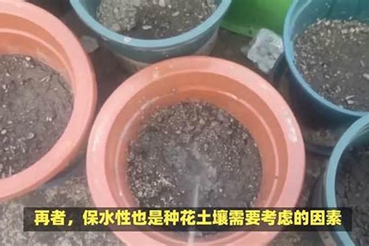 种花用什么肥料最好呢