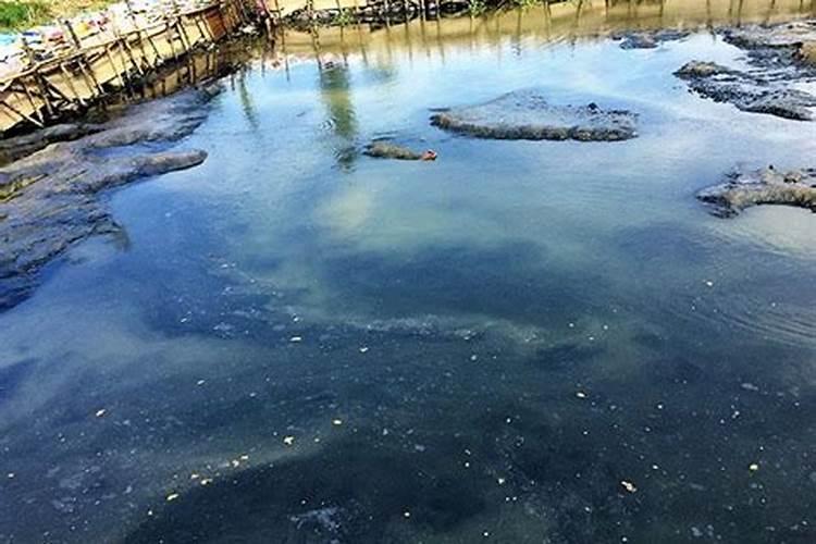 养鱼水体发黑应该怎么处理