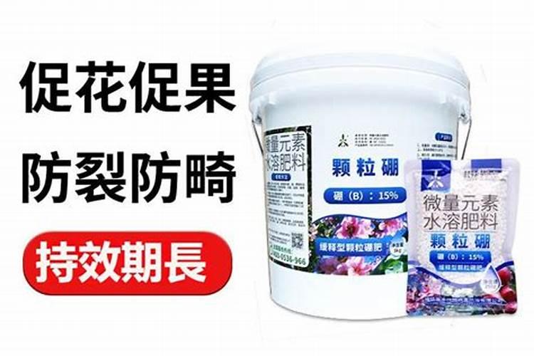 芒果促花保果防晒用哪些肥料好？芒果抗病增产增收使用的肥料？