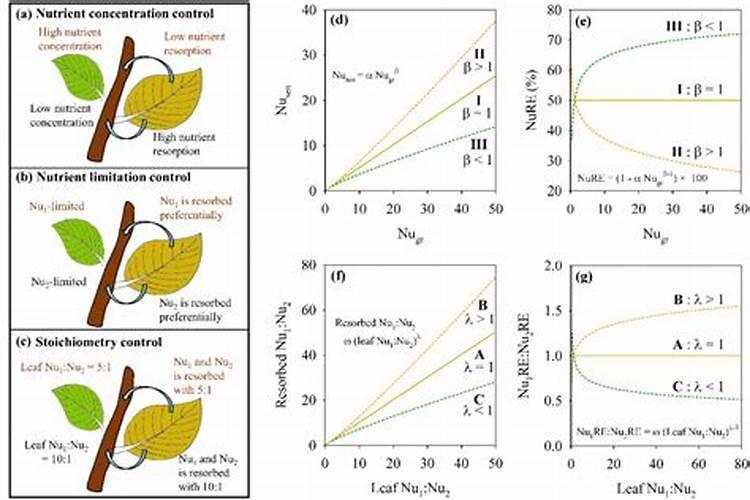 叶面肥可以灌根吗 叶面肥多长时间能吸收