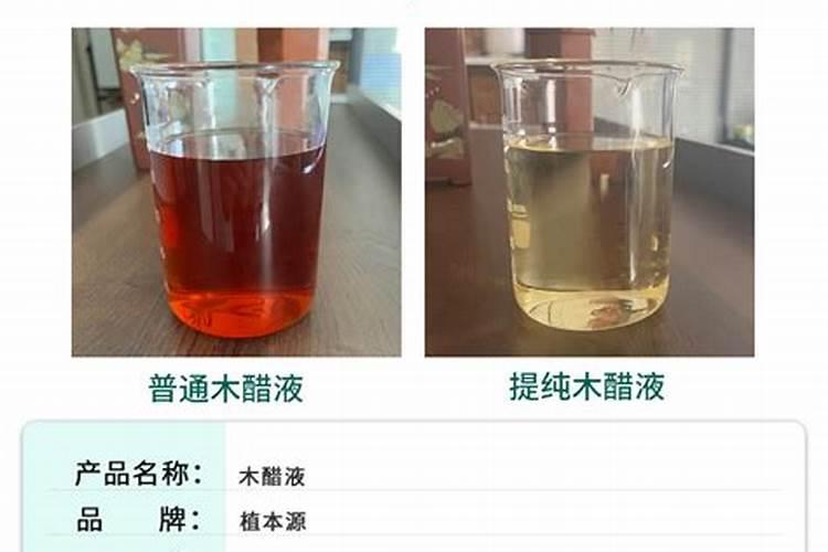 昆布(中药材资料)