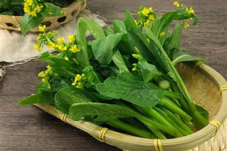 请问各位老师,白菜,瓢儿菜,菜心等蔬菜,要用什么叶面肥,什么药治虫,治...