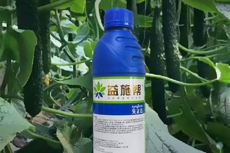 什么叶面肥能让水果提前成熟？