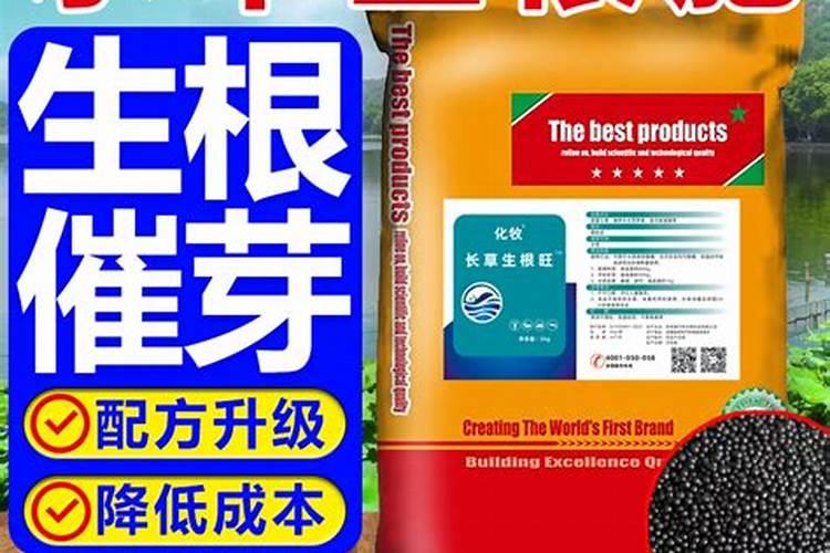 柑橘树最佳平衡施肥方法