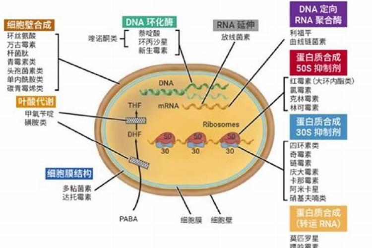 春雷霉素能和大量元素叶面肥复配吗