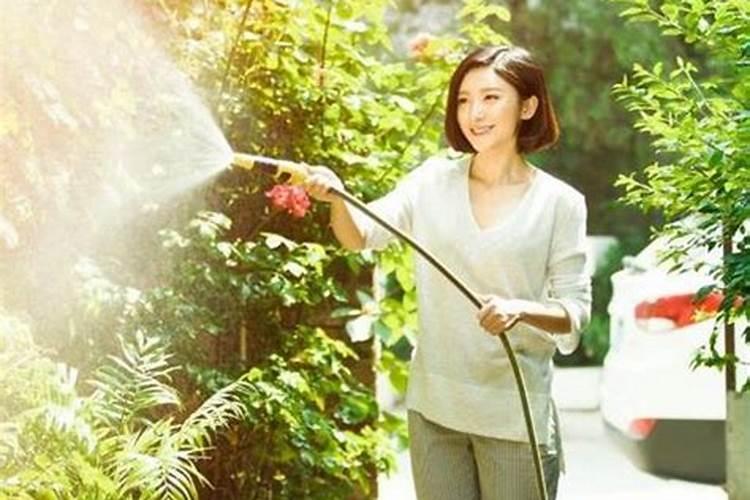 花多多2号有花苞还能用吗？