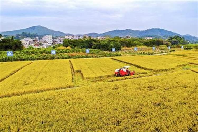 富硒肥料什么牌最好？