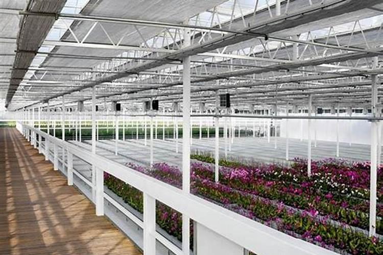 现代农业玻璃温室大棚中种植农作物肥料问题